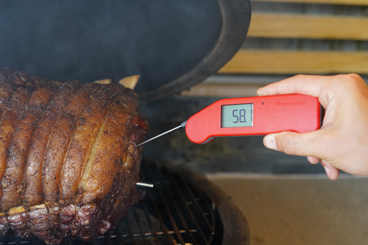 Thermapen® NANO