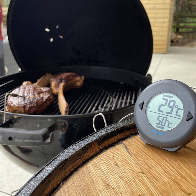 BlueDOT® Oven Thermometer