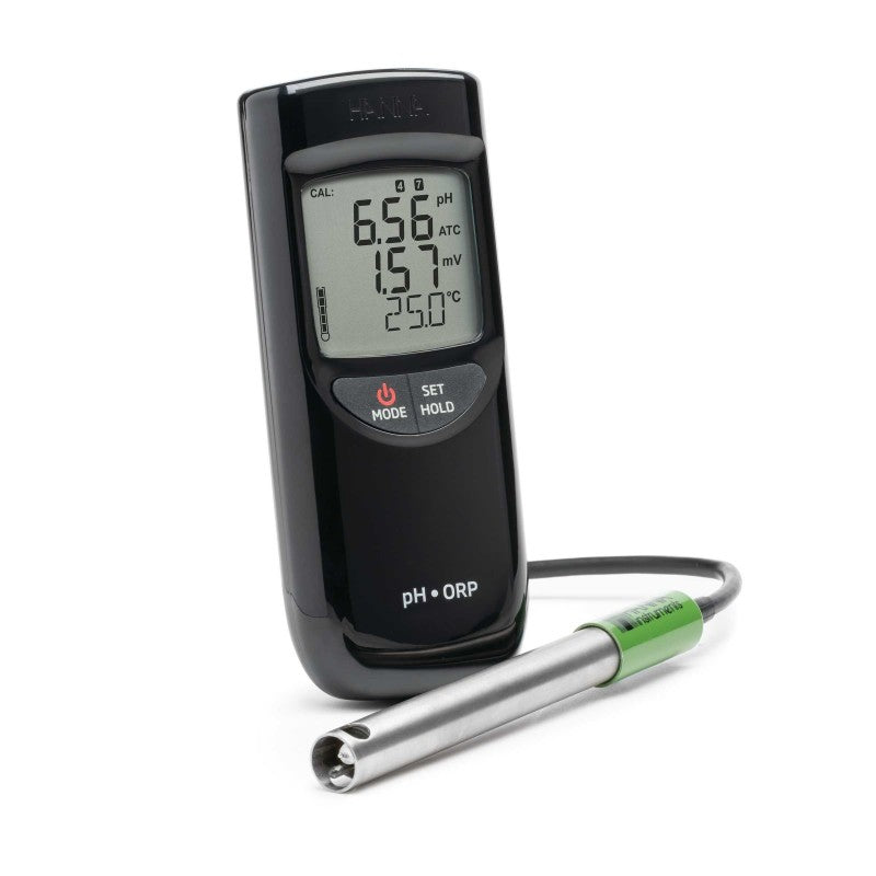 Hanna Instruments HI-991003 Extended Range pH Meter with pH/ORP electrode & °C sensor