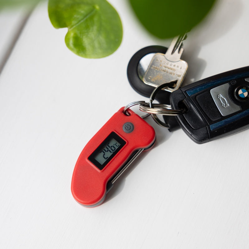 Keyring Thermometer