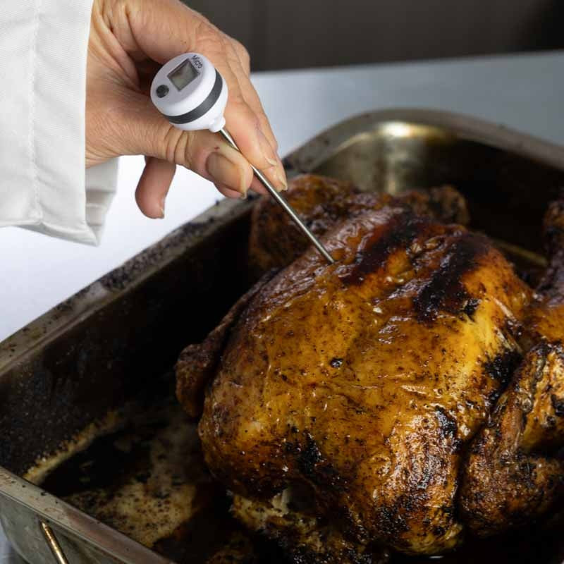 Micro Pocket Thermometer