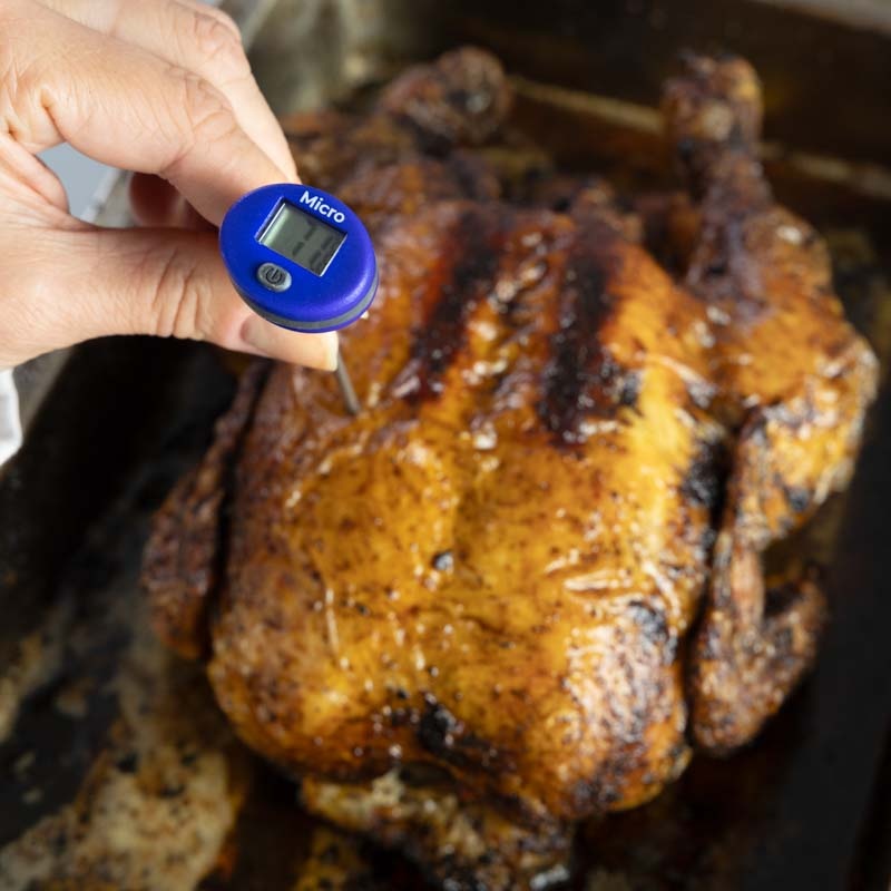 Micro Pocket Thermometer