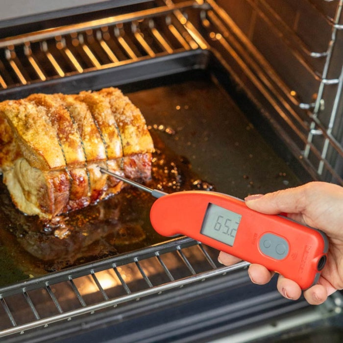 Thermapen® IR | Infrared & Penetration Probes