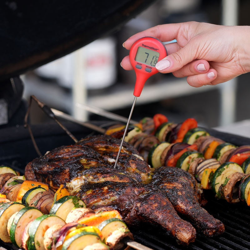 ThermaStick® Pocket Thermometers