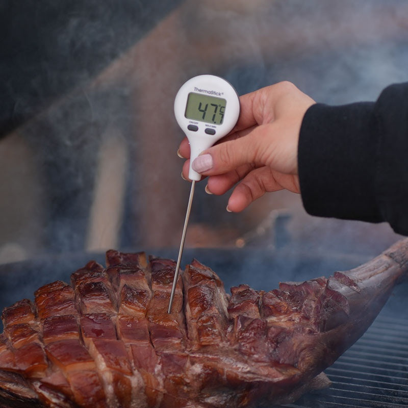 ThermaStick® Pocket Thermometers