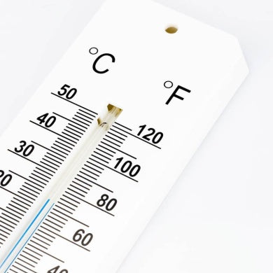 Room Thermometer - 45 x 195mm