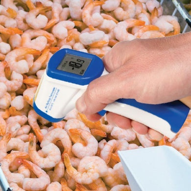 Mini RayTemp - Infrared Thermometer