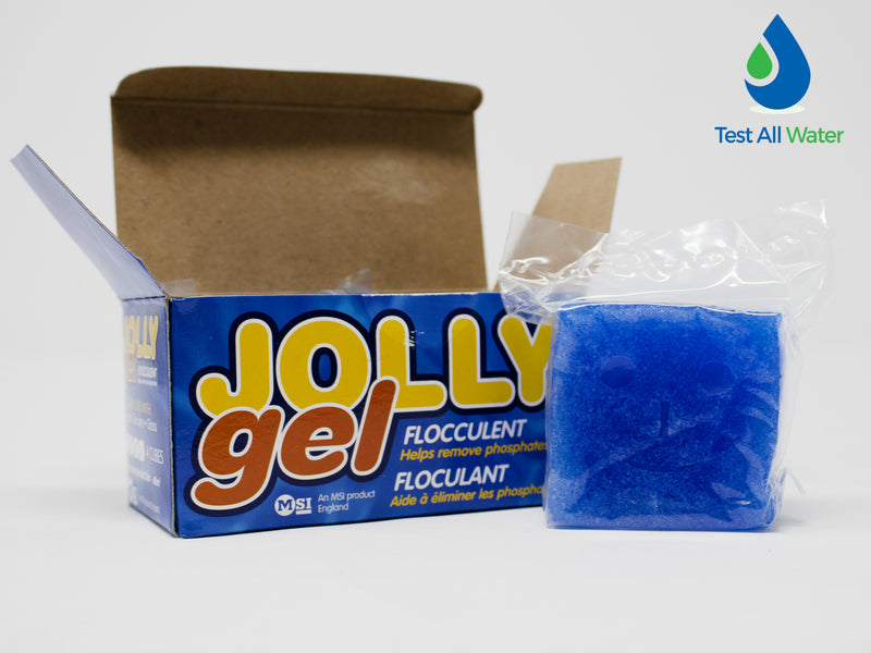 Jolly Gel Cubes