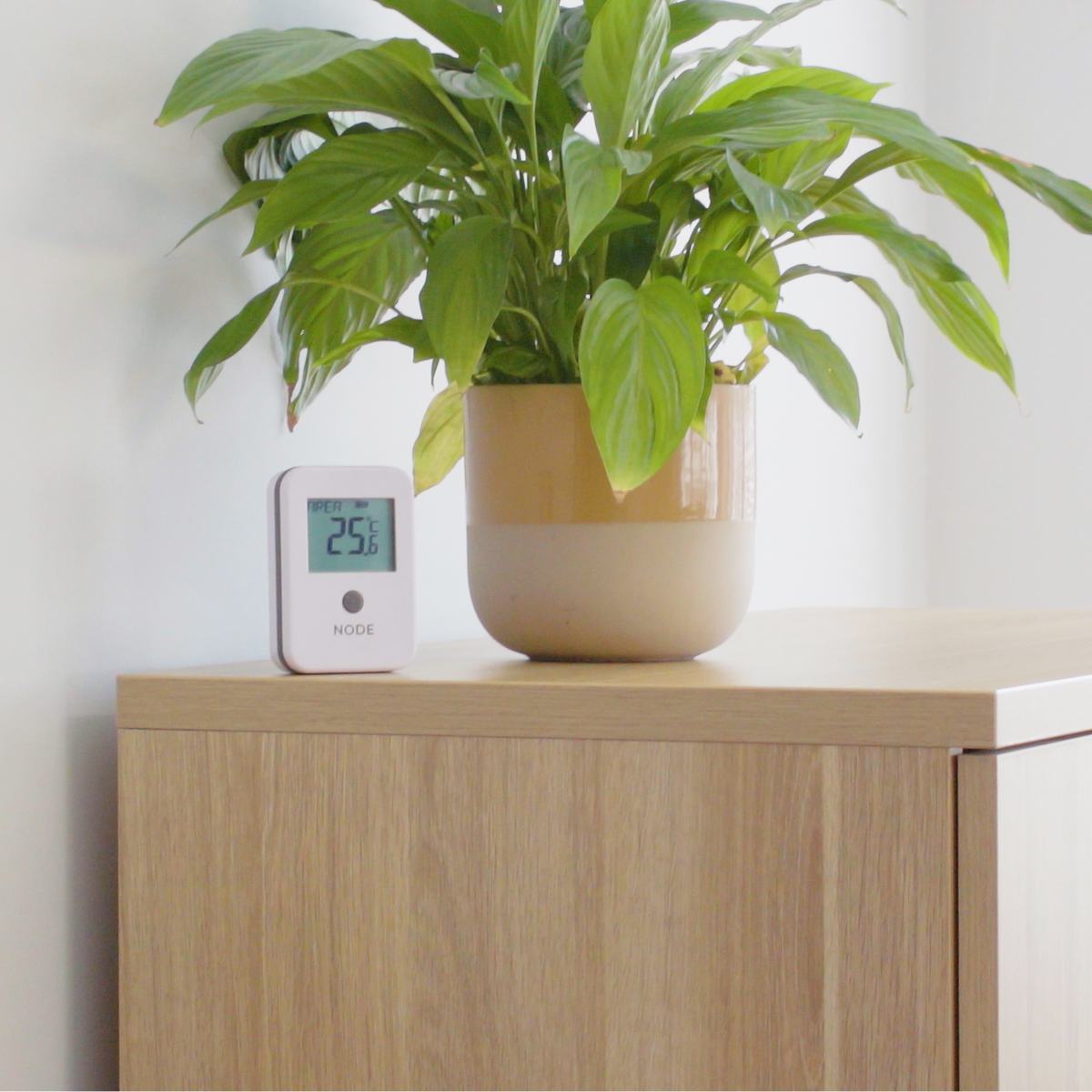 NODE WiFi Thermometer - ambient temperature (room)