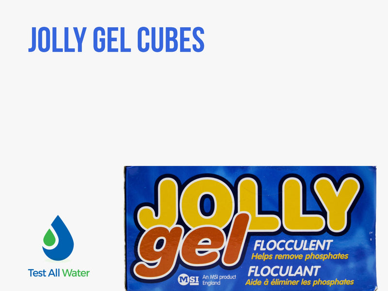 Jolly Gel Cubes