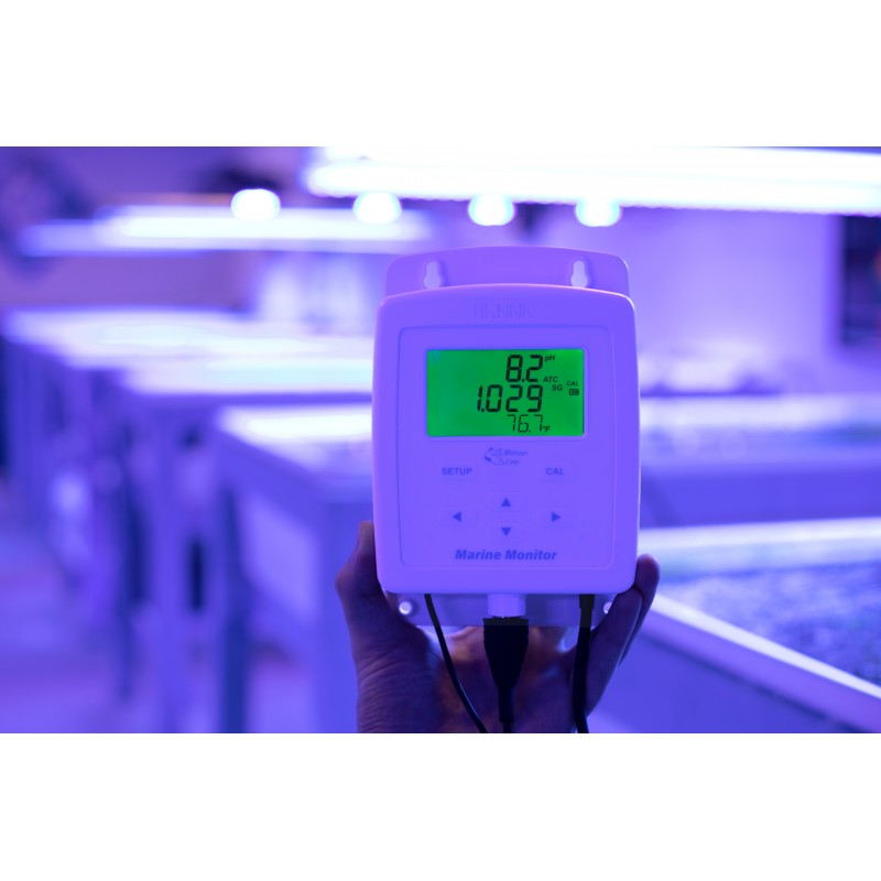 Hanna Instruments HI-981520 Marine Monitor for pH, EC, Marine Salinity and Temperature