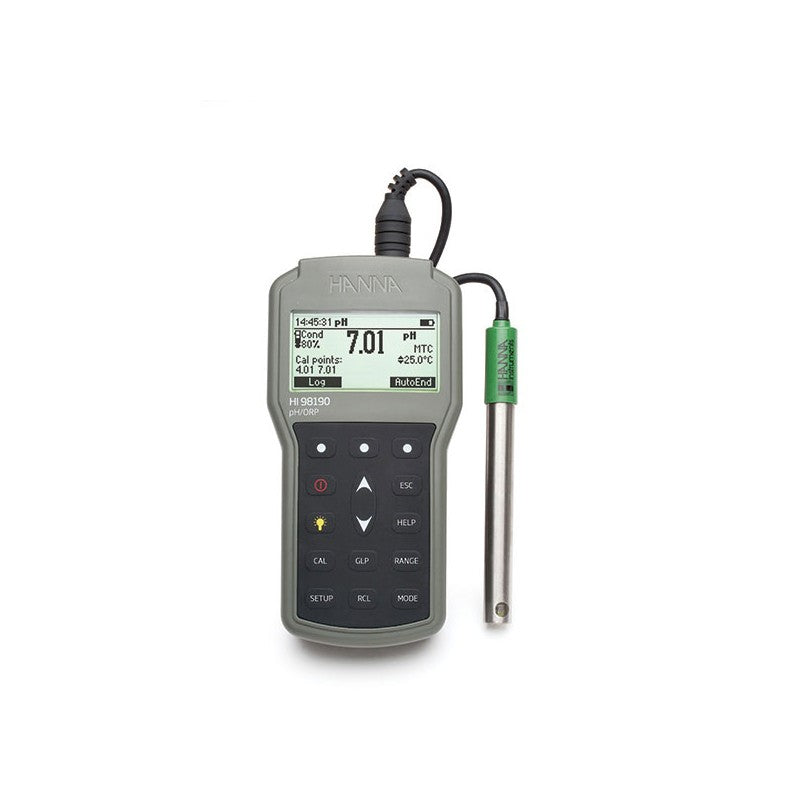Hanna Instruments HI-98190 Professional Waterproof pH/ORP Meter