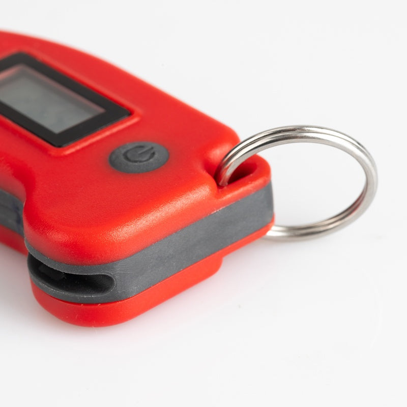 Keyring Thermometer
