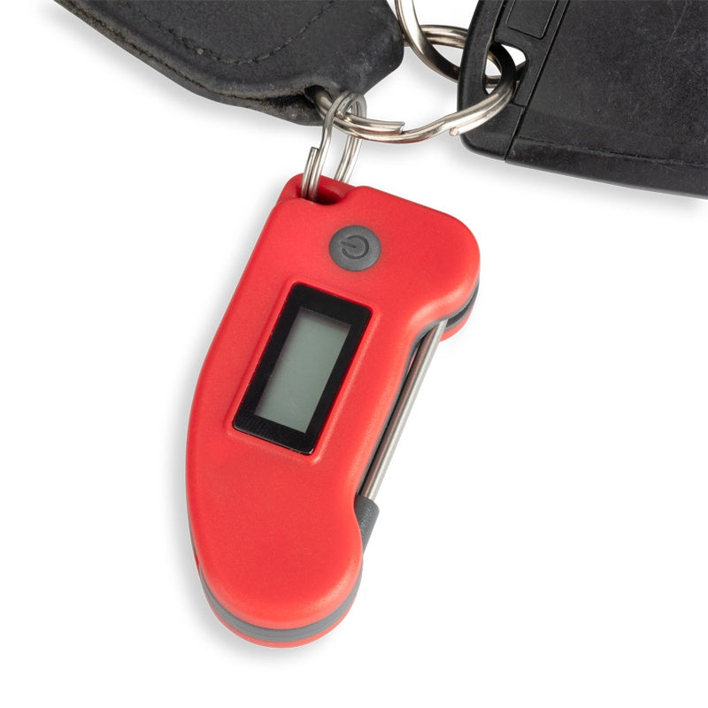Keyring Thermometer