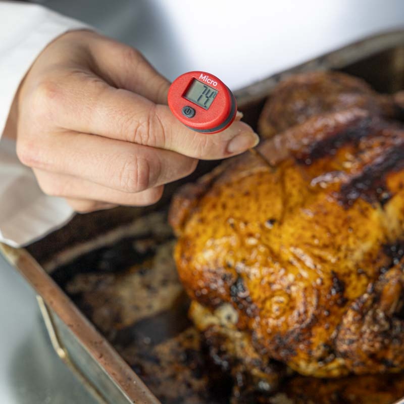Micro Pocket Thermometer