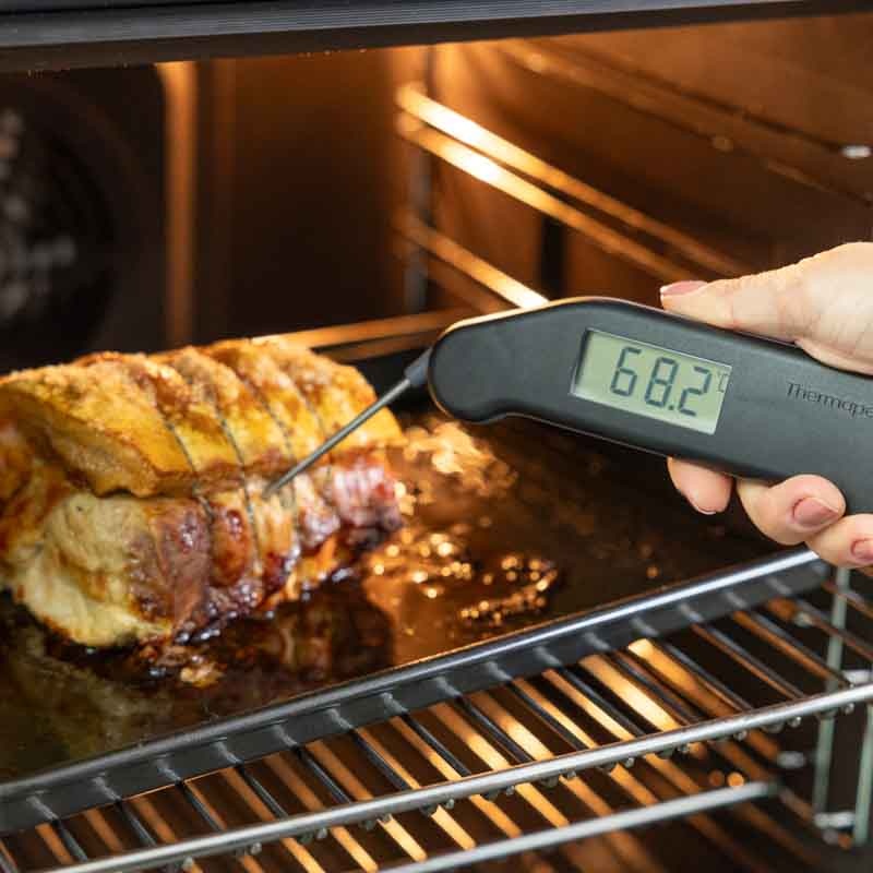 RFX Thermapen Classic Kit