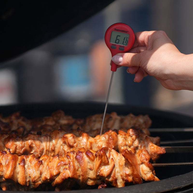 ThermaStick® Pocket Thermometers
