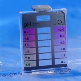 Lovibond Active Oxygen pH MINITESTER