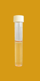 D009 Nitrite Tube Test

