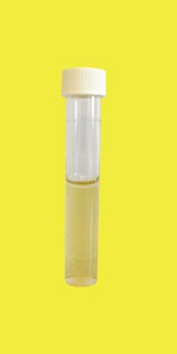 SRB Tube Tests-Sulphate Reducing Dipslide (Box of 10)